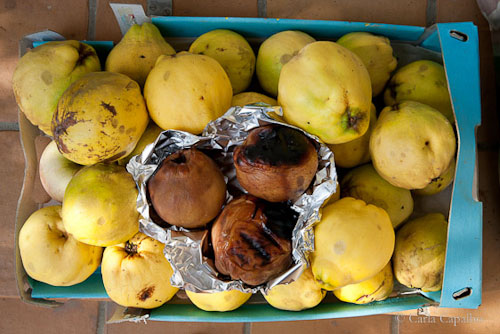 Quince, raw and roasted