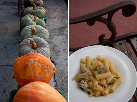Pumpkins, Piedmont · Pasta with Sicilian cauliflower