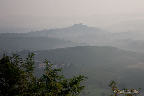 The Langhe hills, foggy in the morning