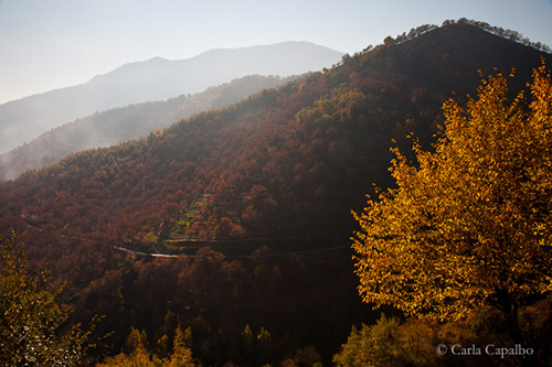 Morning mists in Irpinia