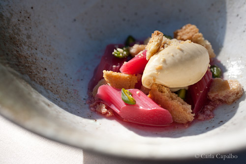 Sat’s rhubarb and custard dessert