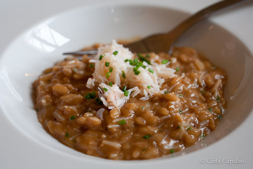 Crab risotto