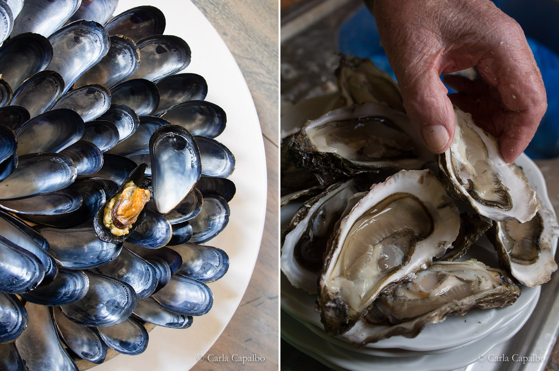 Mussel, Noma, Copenhagen · Oysters, Bordeaux