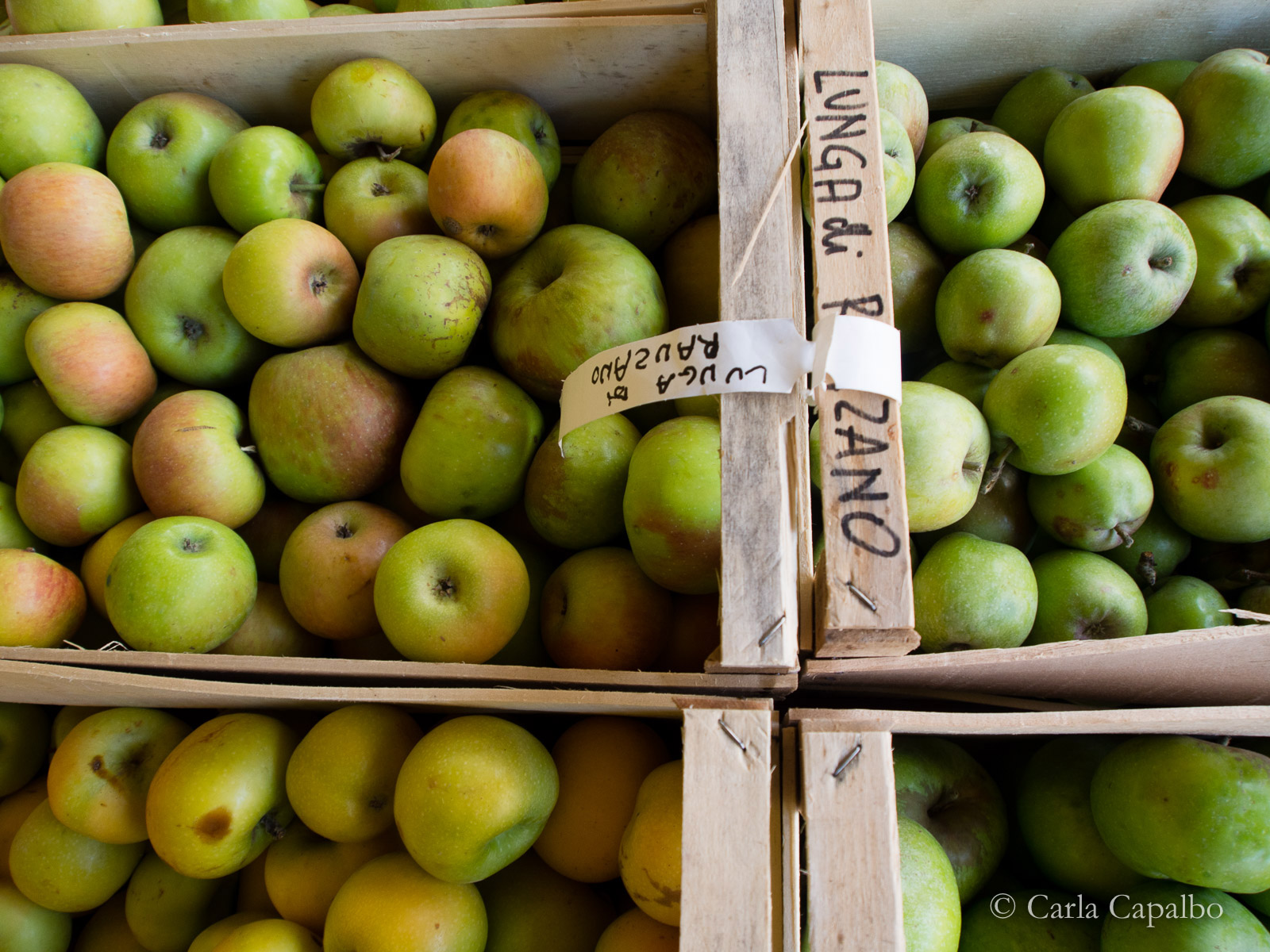 Native apples, Emilia-Romagna