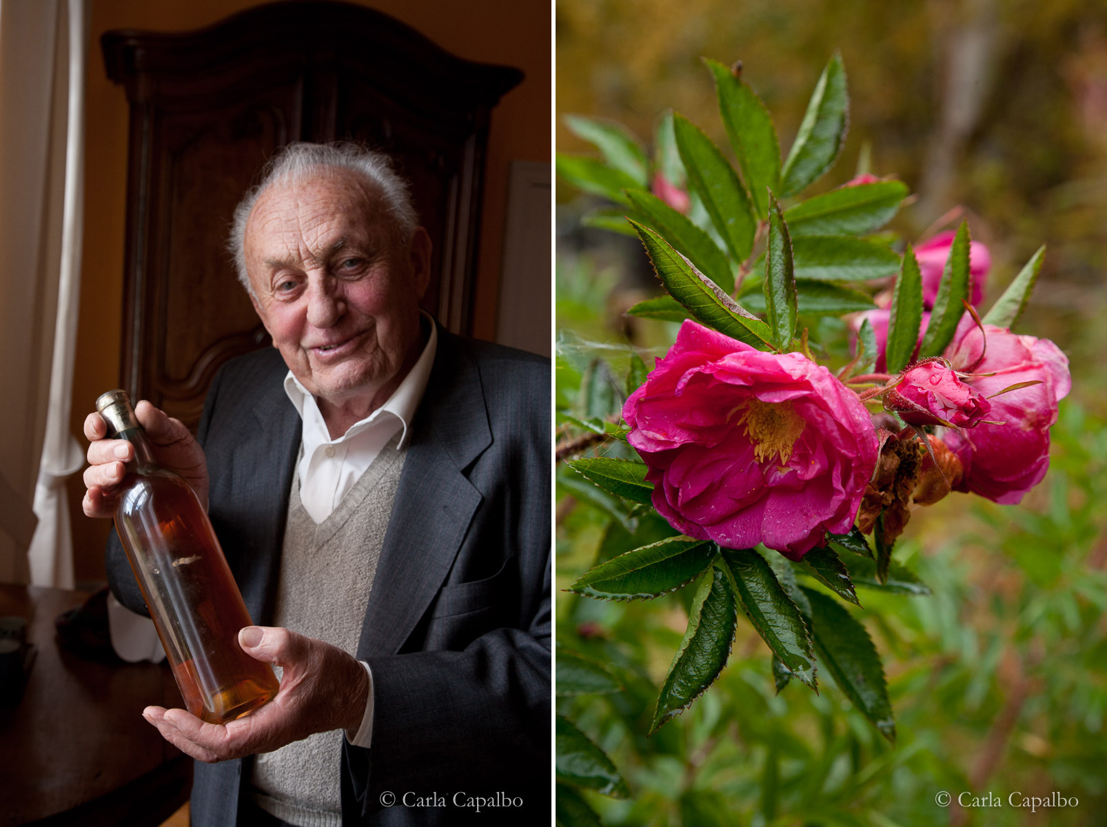 Pierre Dubourdieu with his Sauternes · Wild rose, Lapland