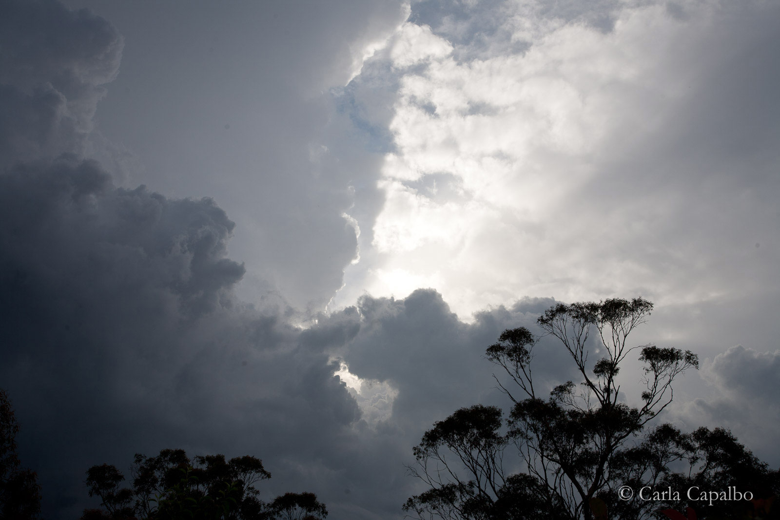 Stormy sky, Blue Mountains, NSW