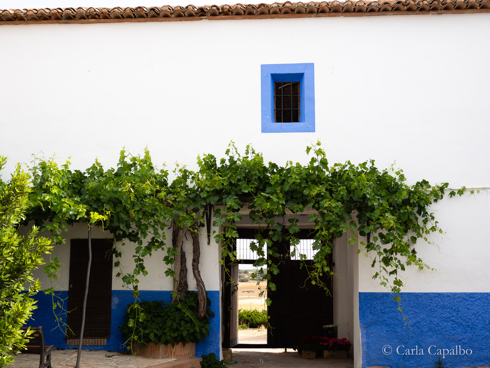 A courtyard at Mata Mangos